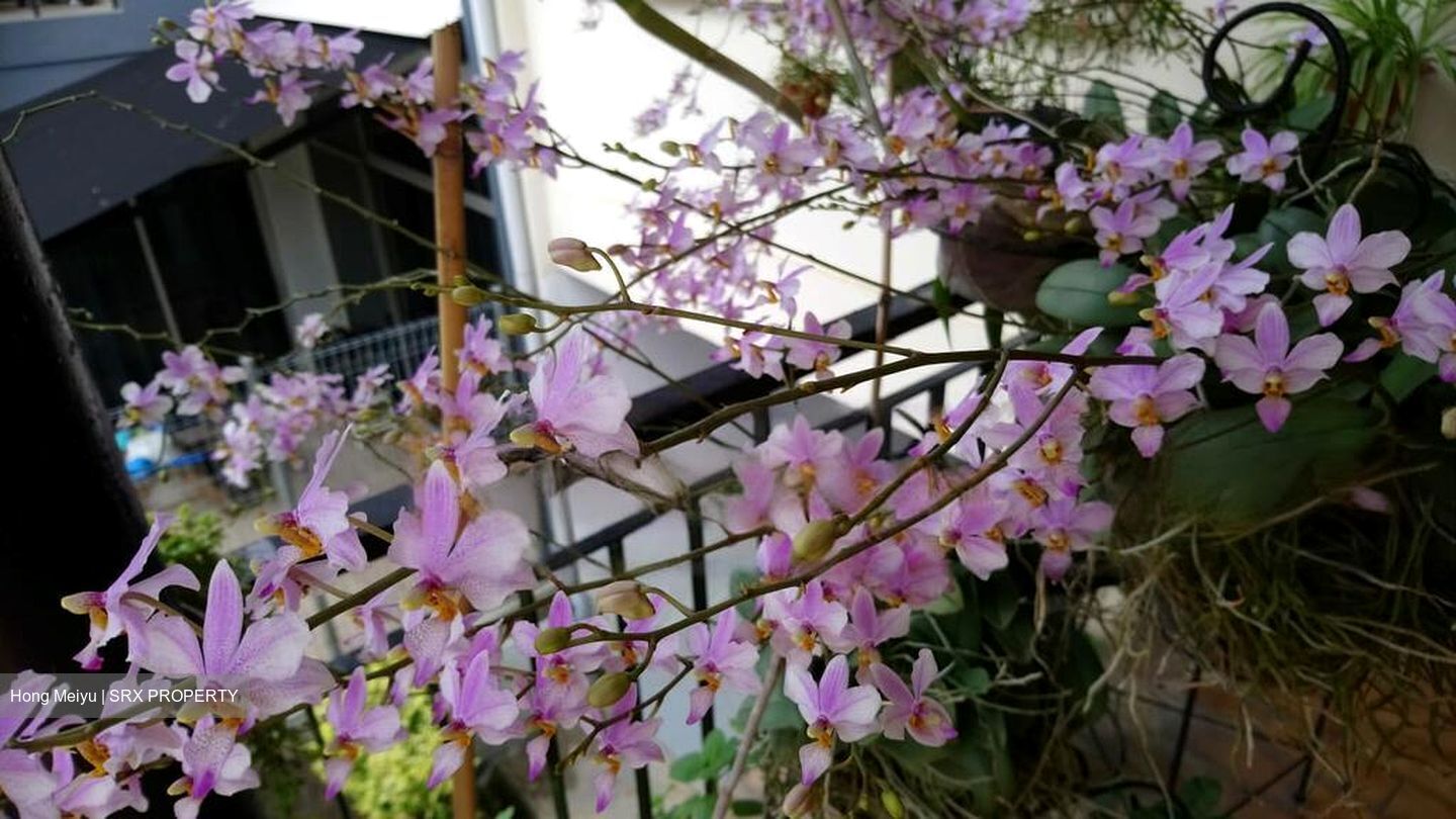 Teachers' Housing Estate (D26), Terrace #456406971